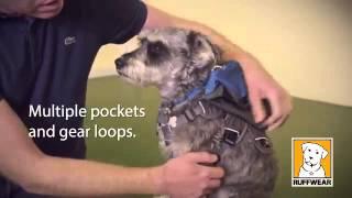 Ruffwear Approach Pack - Key Features & Sizing