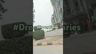 # Subscribe #lifeisbutadream # for you page # Dreamy Diaries