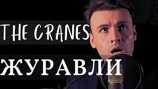 Журавли (Дмитрий Риберо-Феррейра) | The Cranes (Dmitri Ribero-Ferreira)