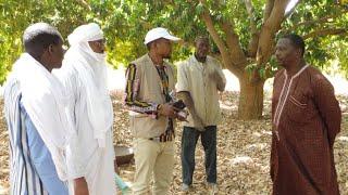 Inspection of solar irrigation system in Niger