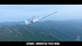 ATOMRC Swordfish and Dolphin plane flying show!