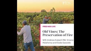 Wine Scholar Guild- Old Vines: The preservation of fire. Why winemakers hold a passion for old vines