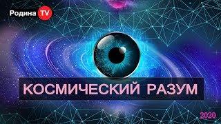 КОСМИЧЕСКИЙ РАЗУМ  || канал Родина TV. запись прямого эфира