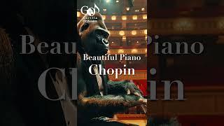 Beautiful Piano Chopin  #chopinpiano  #classicalmusic #piano #bestclassicalmusic #gorilla #orchestra