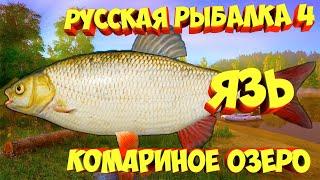 русская рыбалка 4 - Язь озеро Комариное - рр4 фарм Алексей Майоров