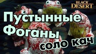 Black Desert (RU) - Пустынные жабы водяные Валенсия (спот для соло) Заработок серебра / Топ прокачка