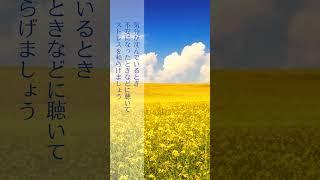 癒しの動画 ーストレス解消のための音楽～セルフ・リカバリー・ミュージック・コレクションー #bgm  #春