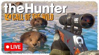 Hunting EVERY animal on the NEW Askiy Preserve | theHunter: Call of the Wild #ad