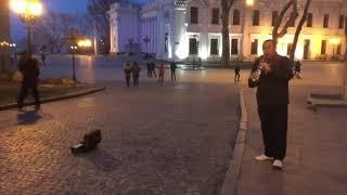 Odessa at night how to play saxophone in the city of Love and humor