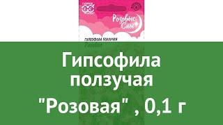 Гипсофила ползучая Розовая (Гавриш), 0,1 г обзор 00001876 бренд Гавриш производитель Гавриш (Россия)