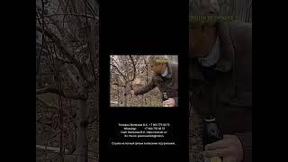 В.  Железов.  «Садоводство для избранных судьбой   4» (Отрывок)