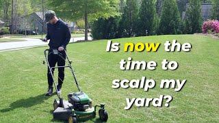 Your Lawn Questions ANSWERED: Scalping, Edging, Fertilizing, and Leveling!