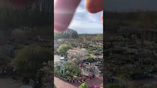 Garden Center Rooftop Tour