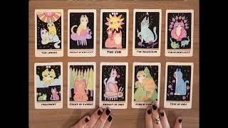 PISCES  THE SUN WILL SHINE ON YOU AND UPLIFT EVERY ASPECT OF YOUR LIFE 