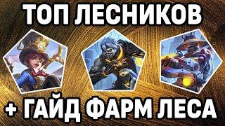 ГАЙД ПО ФАРМУ ЛЕСА + ТОП ЛЕСНИКОВ МОБАЙЛ ЛЕГЕНДС / MOBILE LEGENDS : BANG BANG