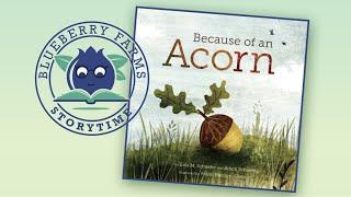 Because of an Acorn by Lola M. Schaefer and Adam Schaefer | A Children's Storytime Read Aloud