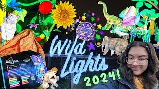 4K Dublin Zoo: Wild Lights Vlog! 2024 Edition (READ DESCRIPTION)