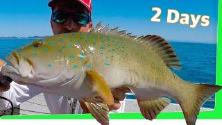 2 Day Solo Tropical Island & Creek - Boat Camping - Fish Taco - Catch and Cook EP.418