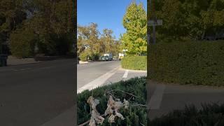 Garbage Trucks! Lots of em #garbagetruck #truck #music