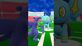 Shiny Shinx Shinynx!