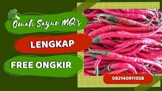 Order Sayur Segar Online Super Lengkap di Kasin Malang Info WA 082140911058