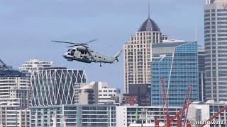 RNZN Seasprite Helicopter low flying Auckland - 2023.