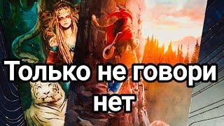 Что его так интересует в отношении вас?Его скрытый интерес?️️