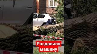 Раздавило автомобиль упавшим деревом. #ураган #ливень #ростовнадону