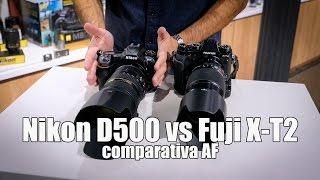 Nikon D500 vs Fuji X-T2: comparativa AF