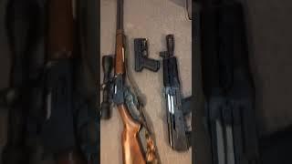 Which you grab for home defense??? #cga #gunshorts #homedefense #shorts #shtf
