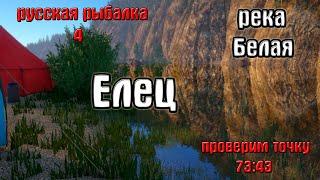 Русская рыбалка 4(рр4/rf4) - река Белая. Елец.