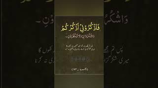 Islamic qoutes #quran #lifewithquran #islamicstatus #islamic #youtubeshorts #short