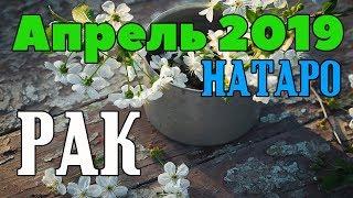 РАК - таро прогноз апрель 2019 года НАТАРО.