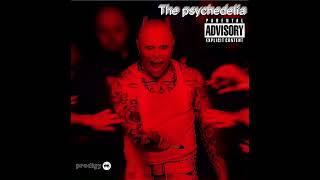 The prodigy The psychedelia 1990-2005 fake album