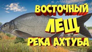 русская рыбалка 4 - Лещ Восточный река Ахтуба - рр4 фарм Алексей Майоров