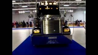 Freightliner FLD Classic XL "Cat & Wolf" Show Truck