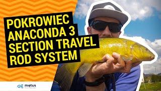 Łapiemy LINY na #Feeder | Mega Pojemny Pokrowiec Anaconda 3 Section Travel Rod System #Prezentacja