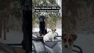 Winter Dog Training With An Old School Soundtrack! #dogs #puppies