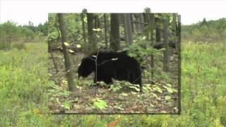 Victory Basin Wildlife Management Area | Outdoor Journal