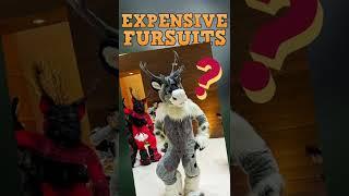 The Most Expensive Fursuits Ever