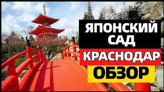 Японский сад в парке Галицкого  в Краснодаре. Обзор Японского сада  Краснодар