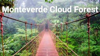 Monteverde Cloud Forest Biological Preserve