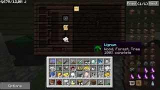 [ FTB ][S04E21][ Sentinel Gaming ][ direwolf20 ][ SMP ] w/TLV - Thaumcraft 3 bee research and Frames