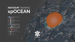 INSYDIUM Training - xpOcean