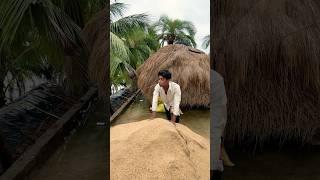 The human body transports water, greening the desert is funny special effects desert greening
