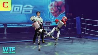 Unitree G1 Humanoid Robot Boxing: All the WILDEST Highlights
