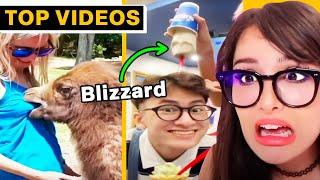 Best TIKTOKS That ENDED IN DISASTER | SSSniperWolf