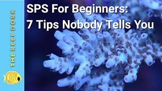 SPS For Beginners: 7 Tips Nobody Tells You