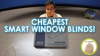 Cheapest Smart Window Blinds