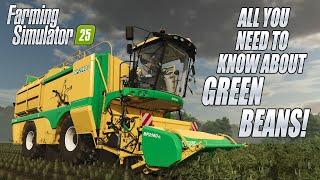 All About Green Beans! Farming Simulator 25 Preview!